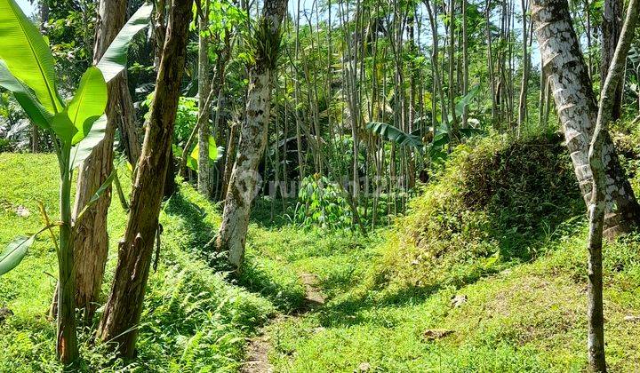 Tanah MURAH SHMP diWonokerto Turi view merapi, ada sungai kecil 2