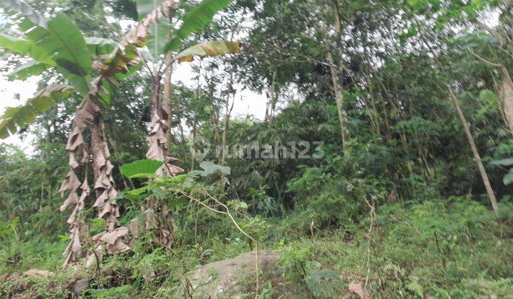 Dijualtanah SHMP diPakem (bonus rumah,kandang kambing) ada sungai 2