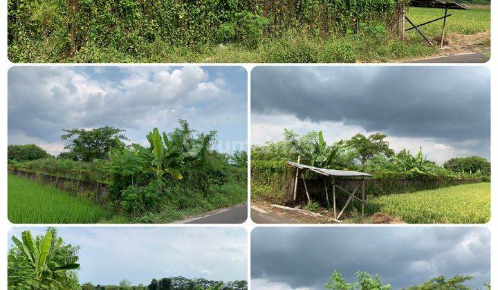 Dijual tanah SHMP jl godean sleman Strategis u/rumah,usaha dll 1