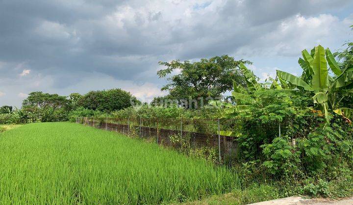 Dijual tanah SHMP jl godean sleman Strategis u/rumah,usaha dll 6