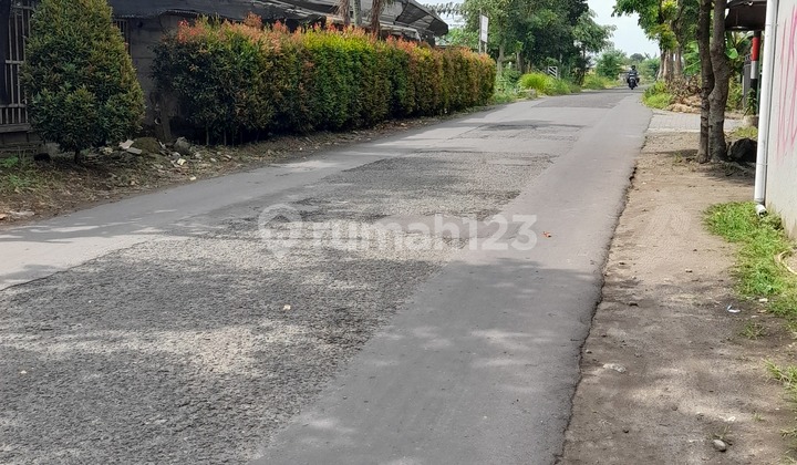 Dijual tanah SHMP disentolo kulonprogo (bonus joglo,KM,gudang) 4