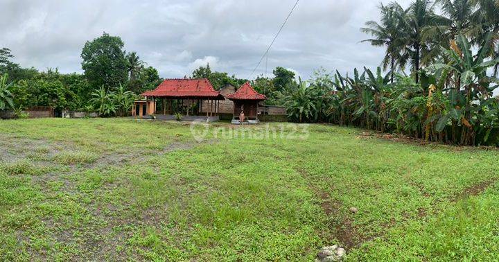 Dijual tanah SHMP disentolo kulonprogo (bonus joglo,KM,gudang) 6