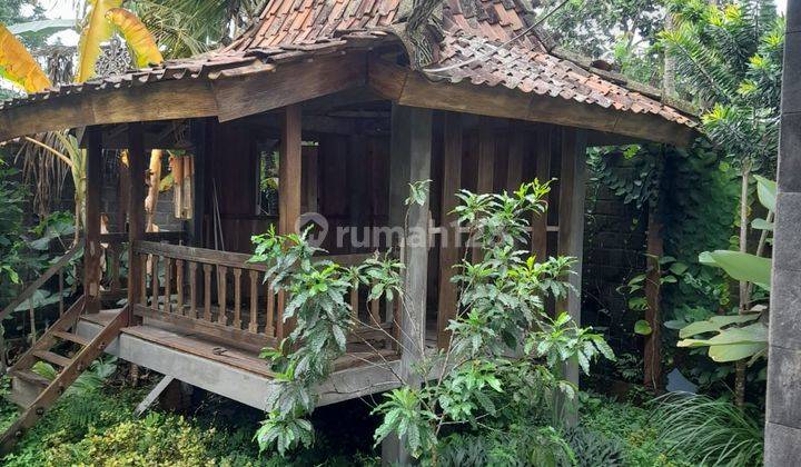 Rumah 2 Lt FULL FURNISH diDonokerto Turi dekat FASUM/FASOS  9