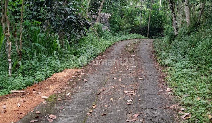 BU Tanah SHMS diGirikerto pinggir JLN u/perkebunan,perternakan dl 2