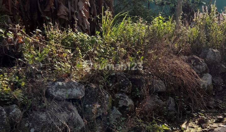 Tanah SHMP diCandibinangun Pakem dekat Mina Padi, Jogja Eco Park  1