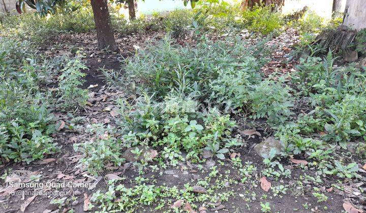 Tanah SHMP diCandibinangun Pakem dekat Mina Padi, Jogja Eco Park  2