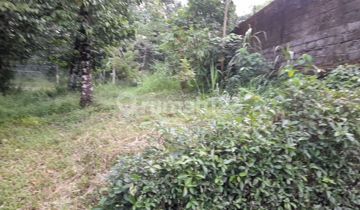 Jual Cepat Tanah Shm Di Hargobinangun Sleman Dekat Kaliurang