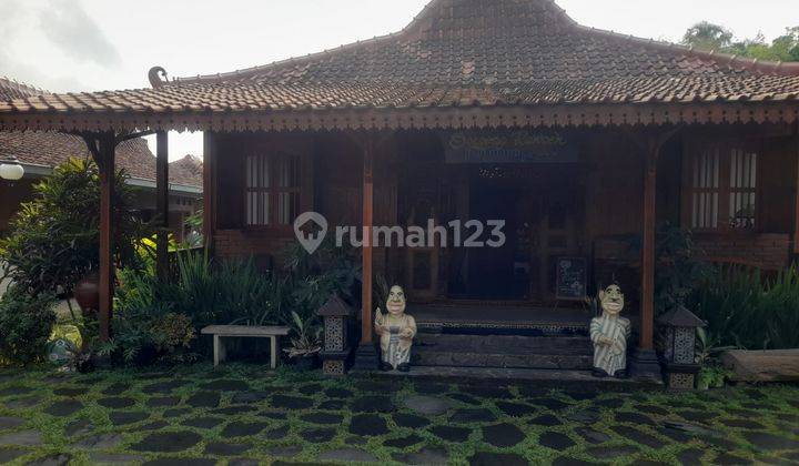 Rumah Etnik PLUS GuestHouse di Jl Kaliurang km16 u/investasi dll 1