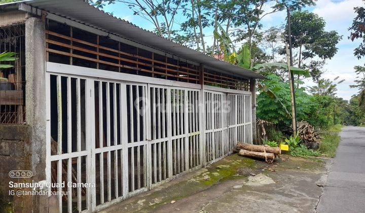Rumah Murah Pinggir Jl di Purwobinangun Pakem U usaha nego  1