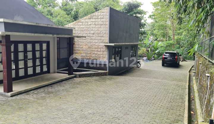 Rumah Desa plus kolam di Turi kondisi Bagus u/villa pribadi dll 3