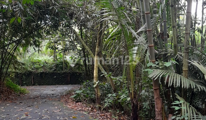 Tanah SHMPekarangan di Pakem dekat makam cocok u/makam keluarga