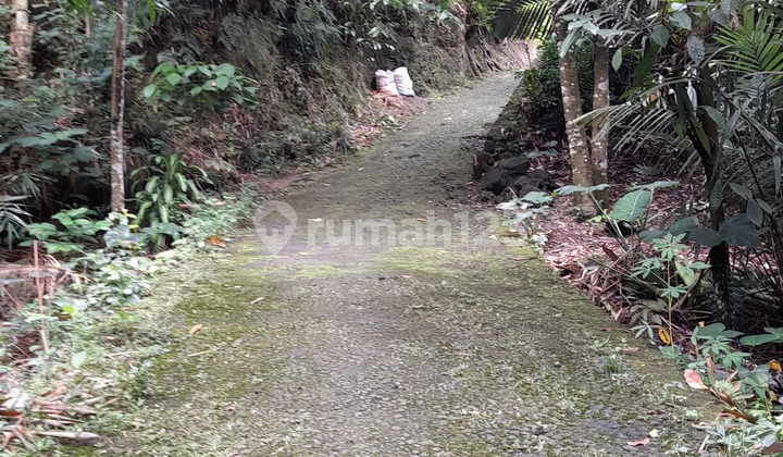 Tanah SHM dipakem view sawah,sungai kecil (menyendiri) u/vila dll