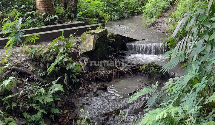 Tanah SHM dipakem view sawah,sungai kecil (menyendiri) u/vila dll