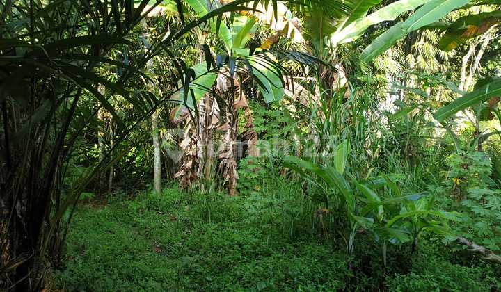 Sell Fast Land with SHM in Pakem Sleman Near Public Facilities Sell Fast Land with SHM in Pakem Sleman Near Public Facilities