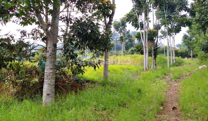 Tanah SHM luas dan kontur view cantik bukit di Dago Bandung 2