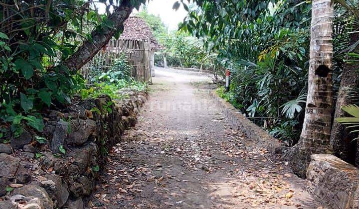 Tanah SHM di Tempel Sleman untuk Rumah Tinggal Dll