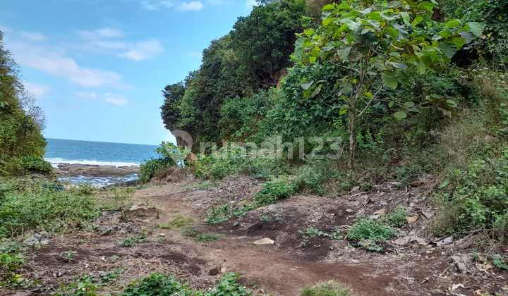 Tanah Shm 10 Ha Di Gunung Kidul Jogja View Pantai U/ Wisata