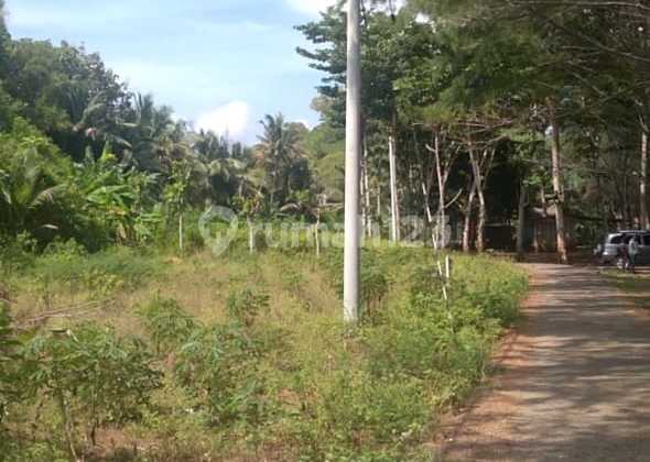 Jual Cepat Tanah Murah Shm Di Pacitan View Pantai U/ Villa, Resto