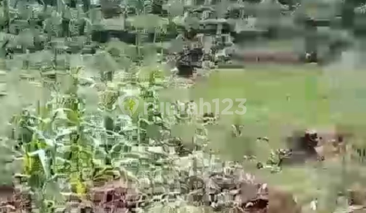 Tanah Shm Dekat Pantai Daerah Gunung Kidul U/resort,wisata Dll Tanah Shm Dekat Pantai Daerah Gunung Kidul U/resort,wisata Dll