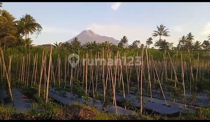 Quick Sale of SHMS Land in Pakem Sleman, Riverside Near Public Facilities Quick Sale of SHMS Land in Pakem Sleman, Riverside Near Public Facilities