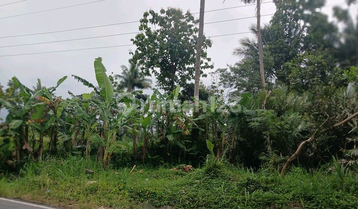 Quick Sale of SHM Land in Pakem Sleman Tourist Area