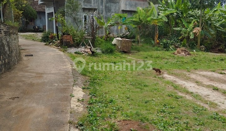 Land with Shm Certificate in Salatiga, 5 Minutes to UKSW Campus. Land with Shm Certificate in Salatiga, 5 Minutes to UKSW Campus.