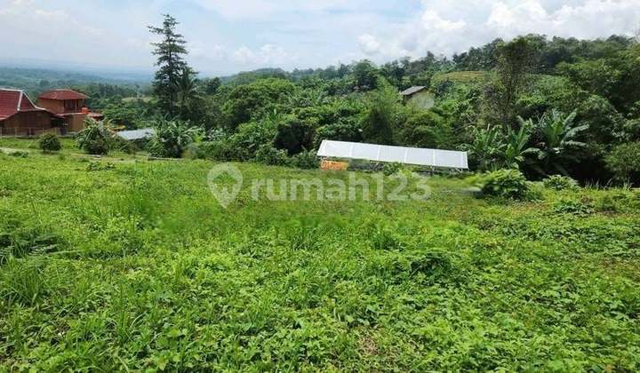 Jual Cepat Tanah Shm Di Cariu Bogor Dekat Fasum