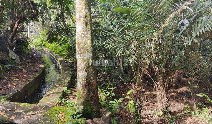 Tanah Shm Murah Digirikerto Turi View Sungai Kecil Cocok U/villa  1