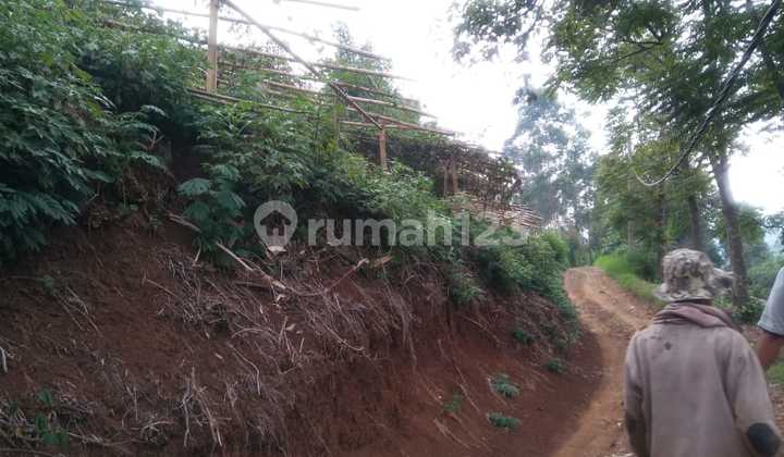 Jual Cepat Tanah Murah Di Ciwidey Bandung View Kebun Teh