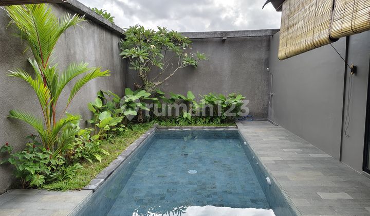 Villa Disewa Bagus.adem. Dekat Kemana Mana Di Kerobokan Villa Disewa Bagus.adem. Dekat Kemana Mana Di Kerobokan