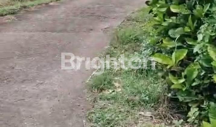 TANAH DATAR BAGUS DI TABANAN 2