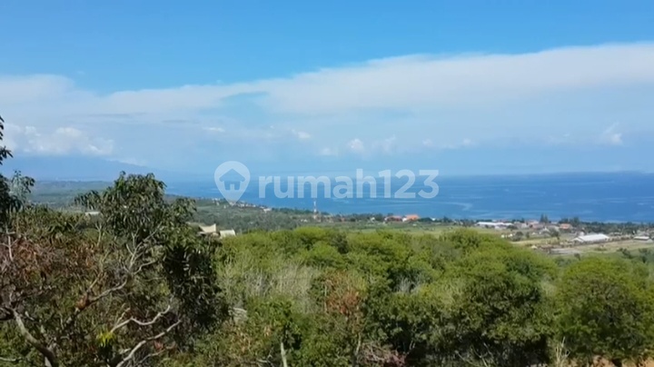 Dijualtanah 350 Are-Investasi Premium