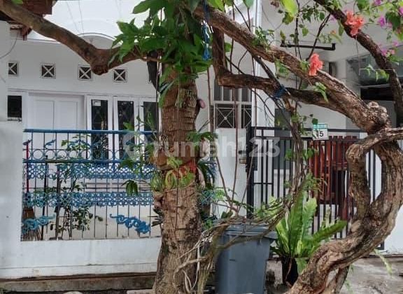 Rumah Di Sewa Bagus Sektor Kota Puri Gading 1