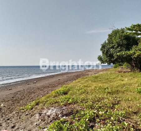 Tanah 3ha Lovina - Buleleng Bali View Gunung Tanah 3ha Lovina - Buleleng Bali View Gunung