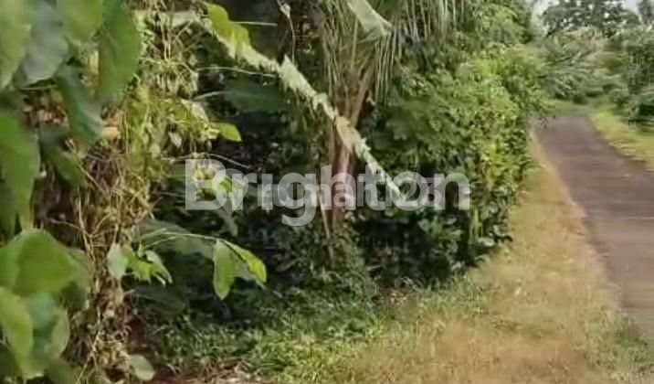 TANAH DATAR BAGUS DI TABANAN 1