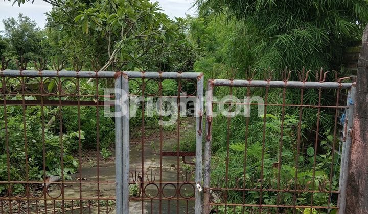 TANAH DATAR BAGUS NUSA DUA MUMBUL