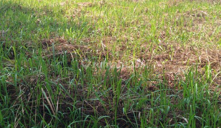 3 Menit Exit Tol Kandeman Dijual Cepat Tanpa Perantara 1