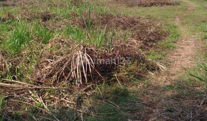 3 Menit Exit Tol Kandeman Dijual Cepat Tanpa Perantara 5