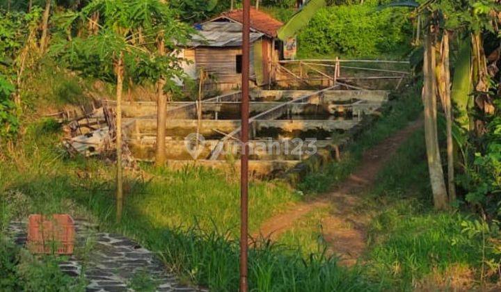 Dijual Cepat, Murah, 3 Akses Jalan, Investasi Cocok 8