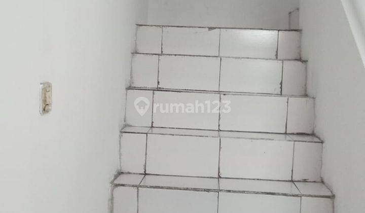 Nego Pantura Pekalongan Bagus Termurah 2
