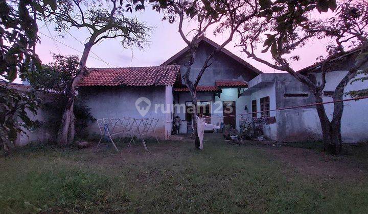 Nego Sampai Jadi Sangat Murah Nyaman Pekalongan 1