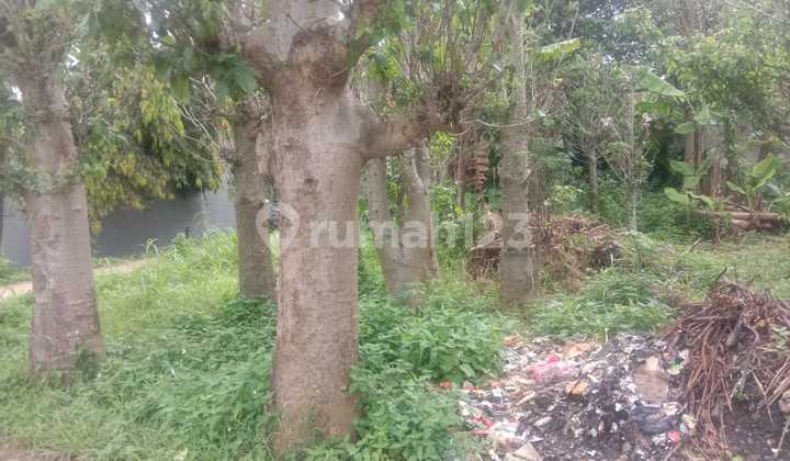 Di Jual Tanah Butuh Uang, Dekat Pondok Pesantren Tahfidz Darunnajah 13, Beli Sekarang Sebelum Kehabisan 5