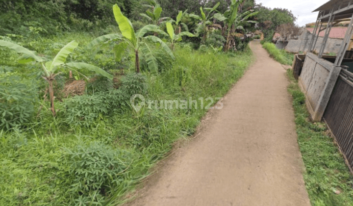 Tanah Termurah Depok, Dekat Lapangan Bola Prigi, Di Jamin Untung 20 Sd 25 Persen Per Tahun 2