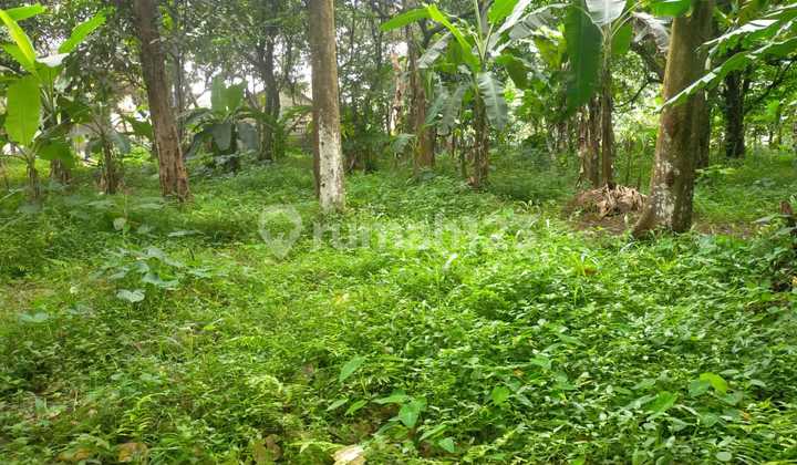 Jual Tanah Termurah Depok, Lokasi Dekat Patung Gajah Cipayung  1