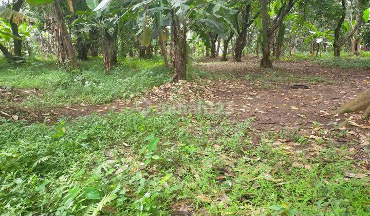Jual Tanah Termurah Depok, Lokasi Dekat Patung Gajah Cipayung  2