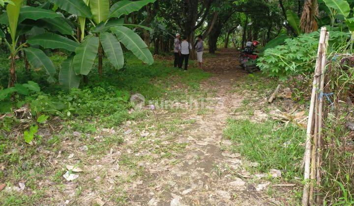 Jual Tanah Murah Depok, Lokasi Dekat Sekolah Menengah Kejuruan Al muhtadin Cipayung  4