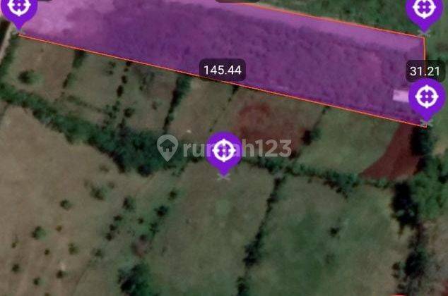 Tanah di Jl. Gua Gong, Unggasan, Badung, Bali, Badung 7.800 m² 3
