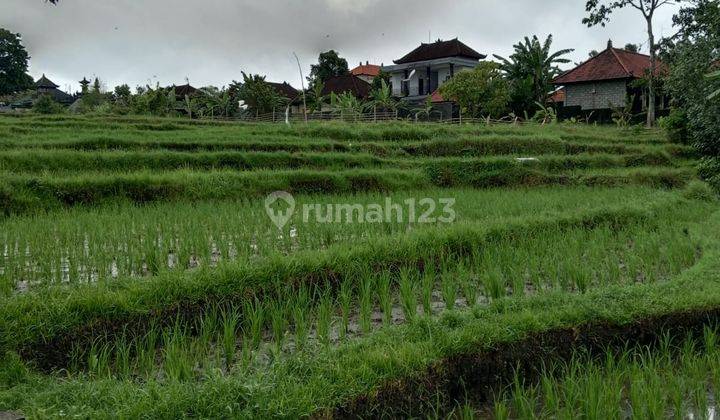 Villa lantai 3 dengan view sawah, sungai dan kota sading mengwi badung  2