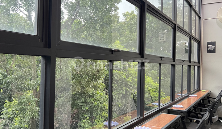 Individual Brand Intellectual Property Management Services Individual Brand Intellectual Property Management Services