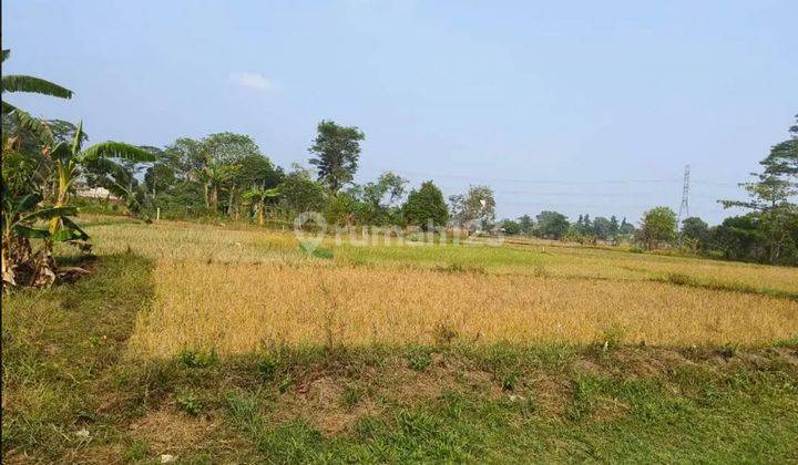 Dijual Tanah dibawah Harga Pasar Di Tajur Halang Bogor 1